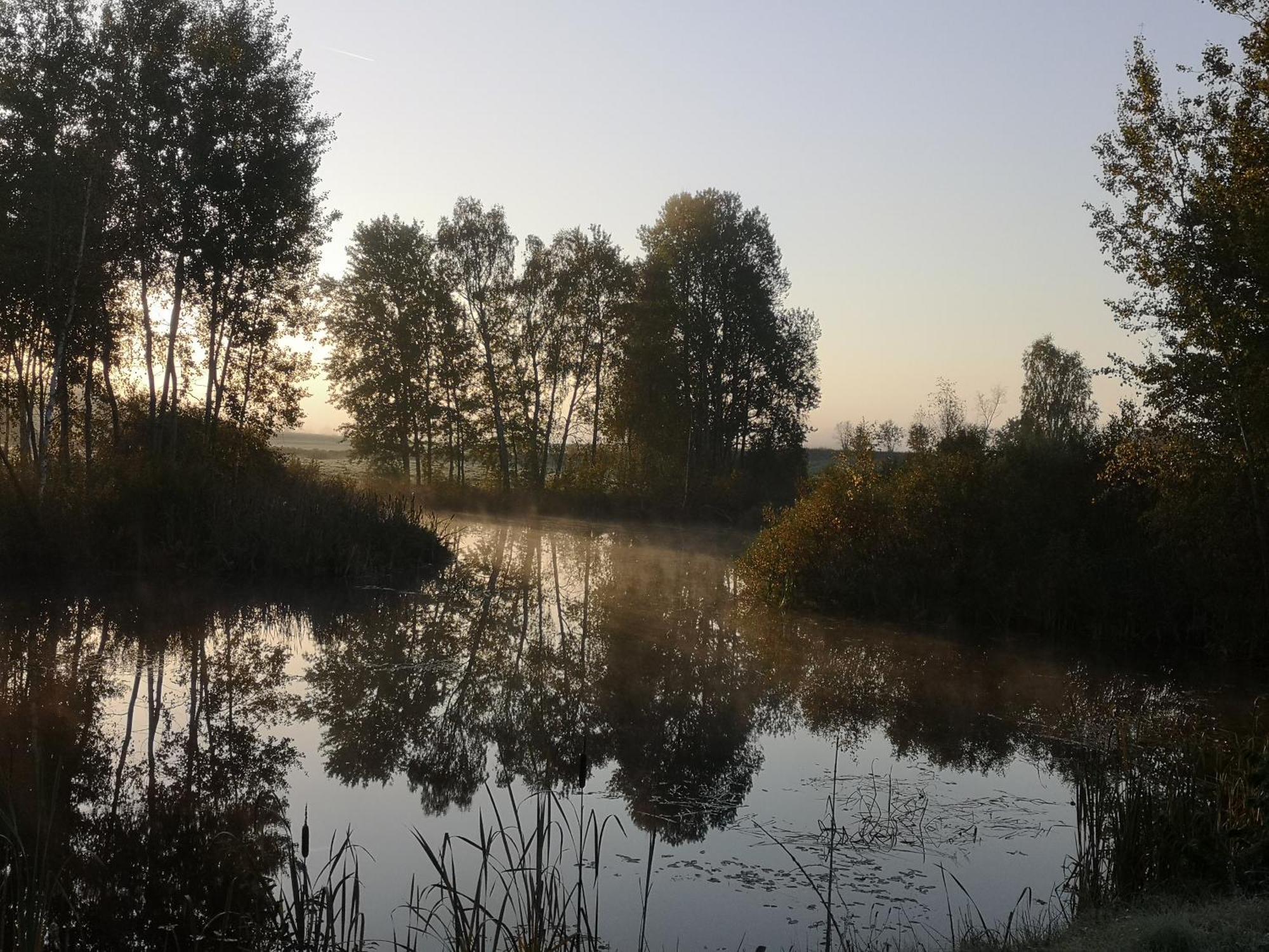 Borowy Zakatek Villa Stara Kiszewa Esterno foto