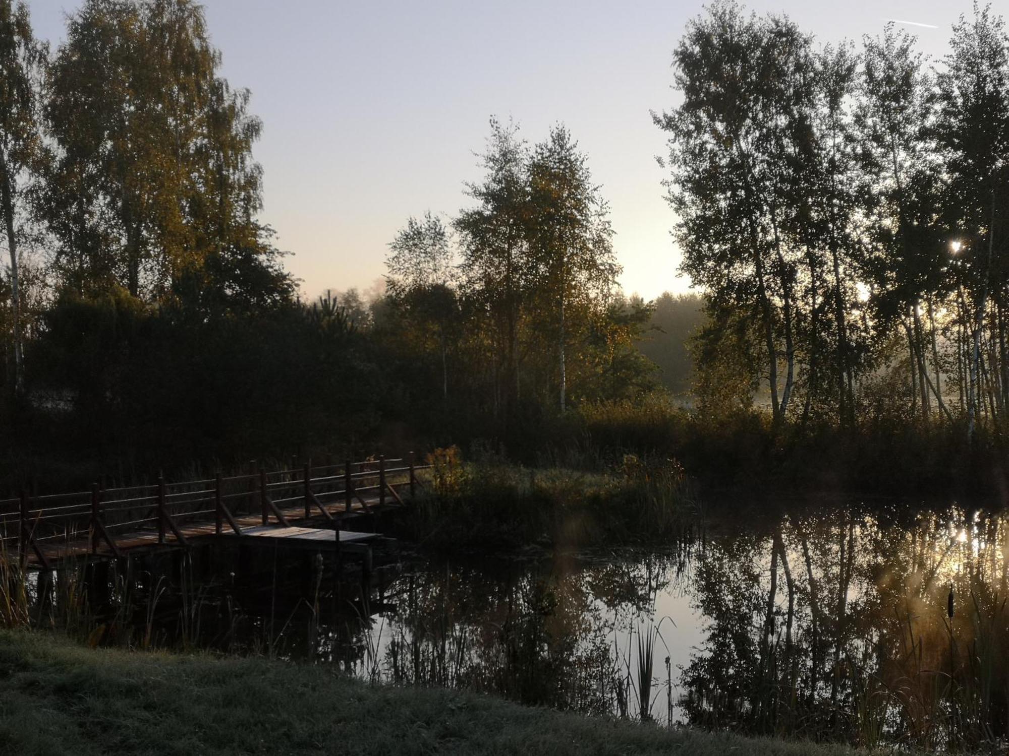 Borowy Zakatek Villa Stara Kiszewa Esterno foto