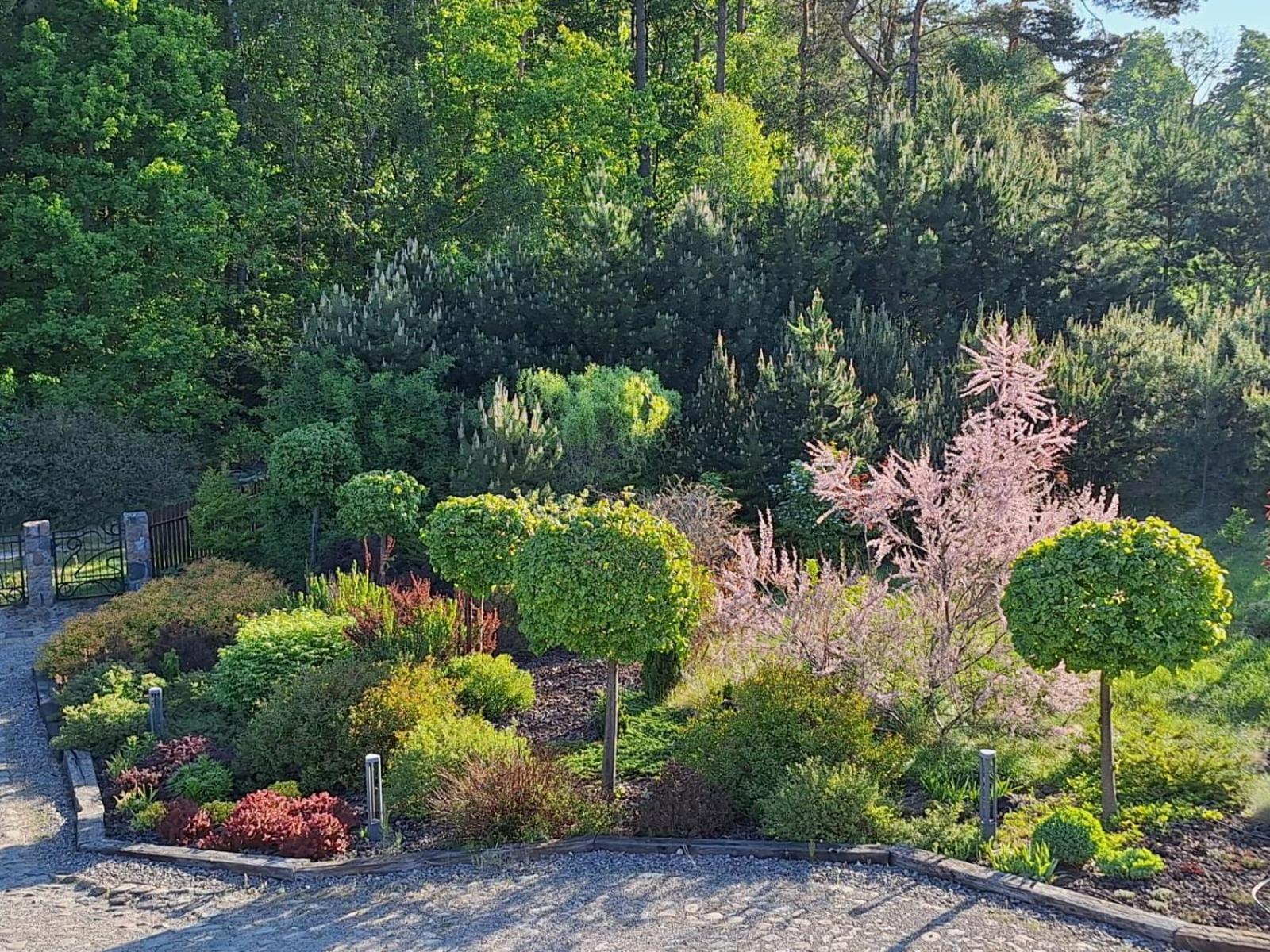 Borowy Zakatek Villa Stara Kiszewa Esterno foto