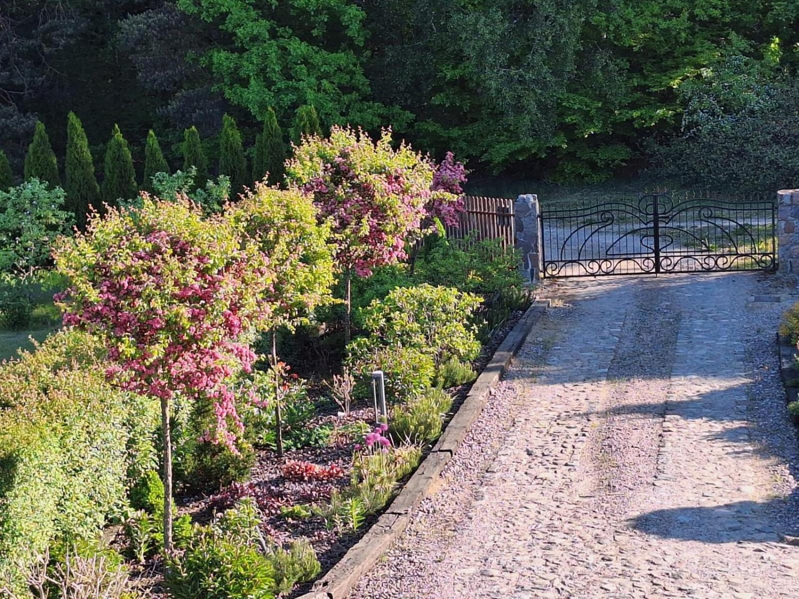 Borowy Zakatek Villa Stara Kiszewa Esterno foto