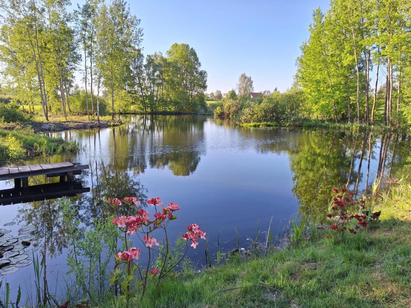 Borowy Zakatek Villa Stara Kiszewa Esterno foto